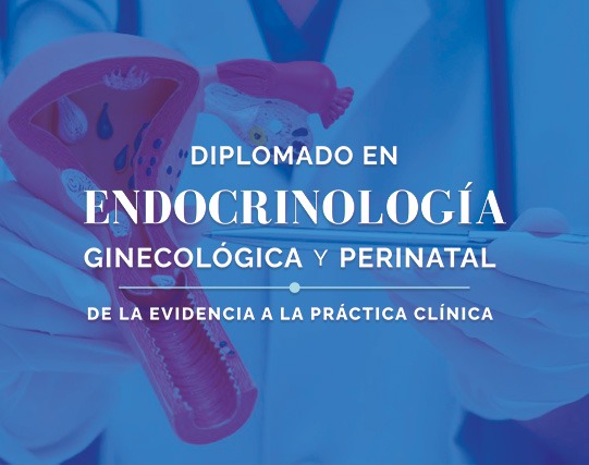Diplomado en Endocrinología Ginecológica y Perinatal