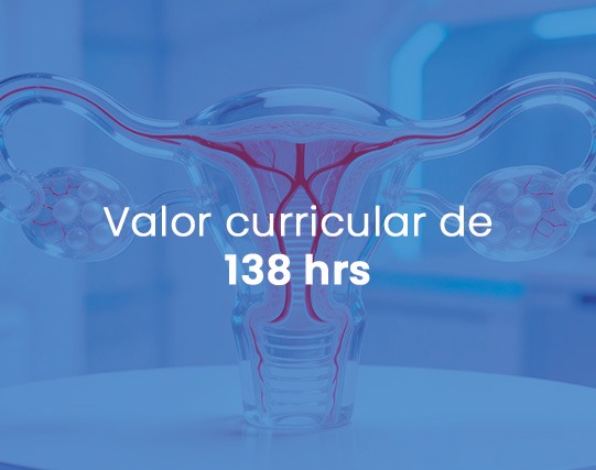 Valor curricular de 138 horas