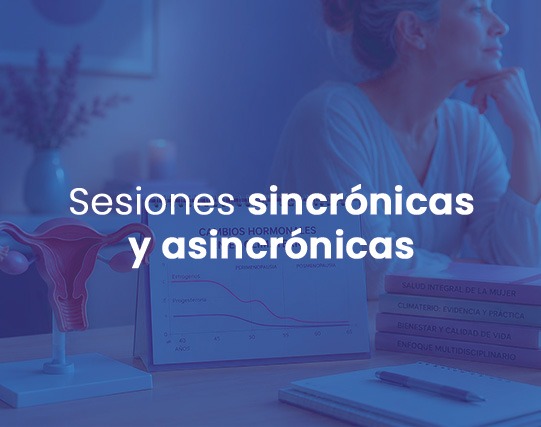 Sesiones sincrónicas y asincrónicas
